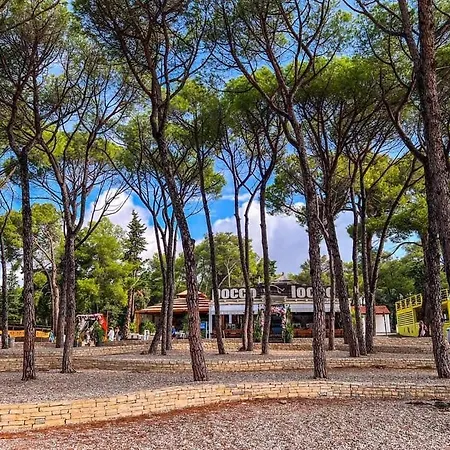 Luna In Biograd Center