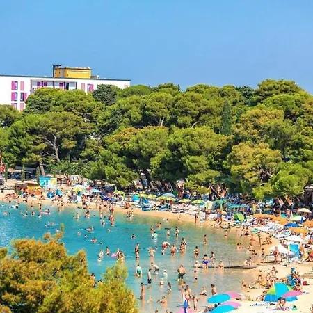 公寓 Luna In Biograd Center